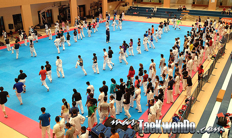 Aguascalientes será sede de cuatro eventos multitudinarios: Campeonato Panamericano Absoluto (G-4), Open de México (G-1), Campeonato Panamericano de Poomsae y Campeonato Panamericano de Para-Taekwondo. El CAR La Loma realizará el Campamento previo para la puesta a punto final.