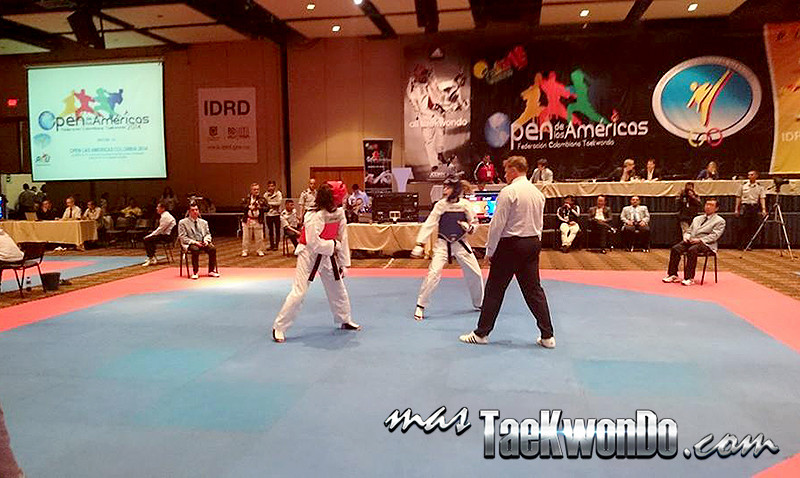 Open las Americas 2014
