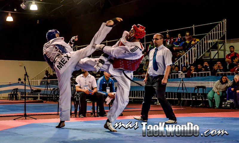 Argentina Open 2014