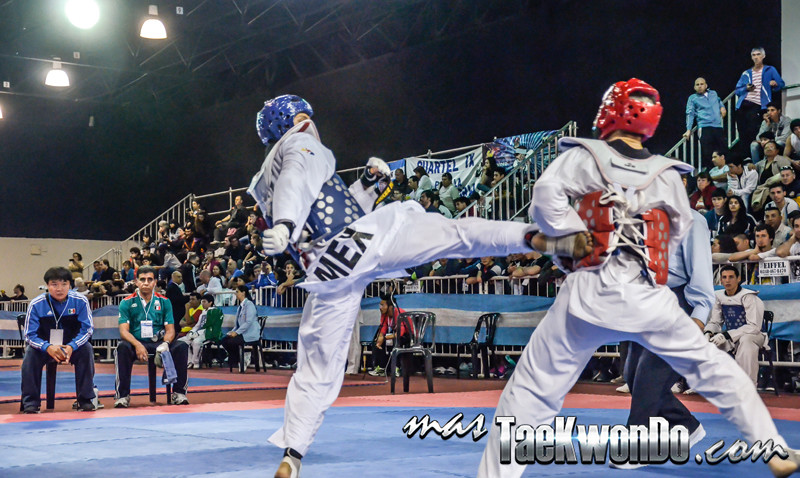 Argentina Open 2014