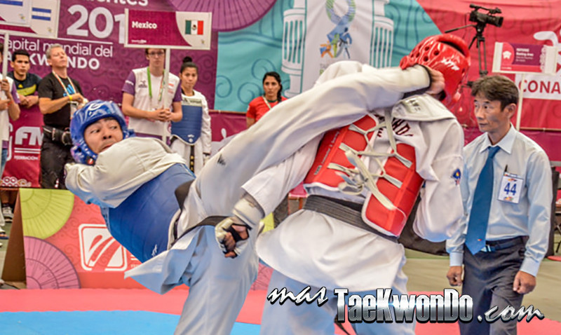 Mondollyo: patada de Taekwondo de giro circular a la cara