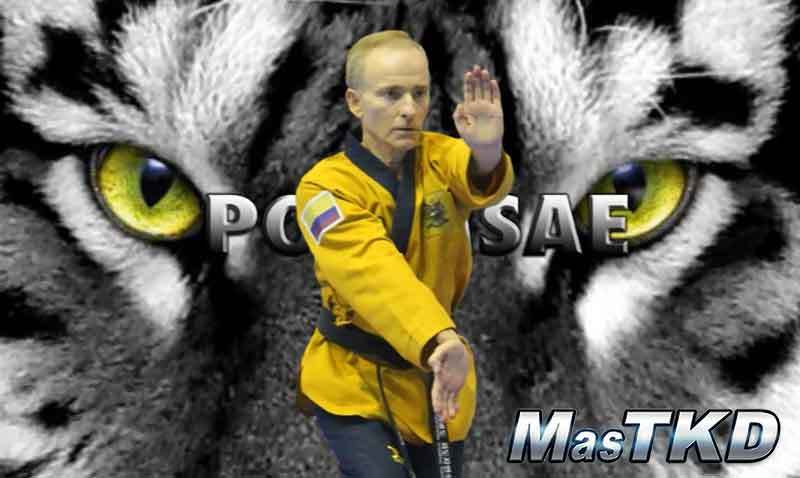 Oskar Posada Poomsae