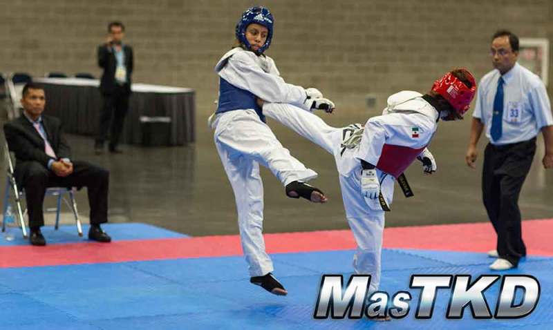 Panam Open, Portland 2014