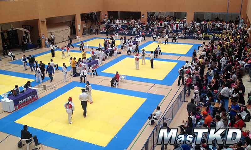 World-Taekwondo-Open_
